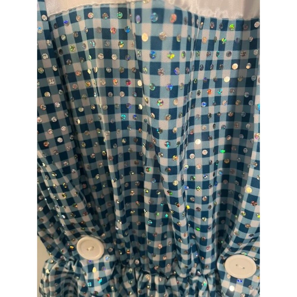 Sparkly Dorothy costume - Picture 2 of 4